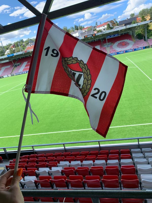 TIL Flagg - håndholdt